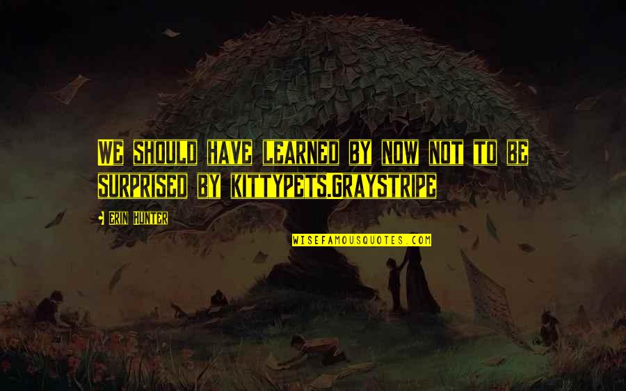 Remembrance Of Life Quotes By Erin Hunter: We should have learned by now not to