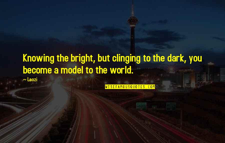 Rememebering Quotes By Laozi: Knowing the bright, but clinging to the dark,