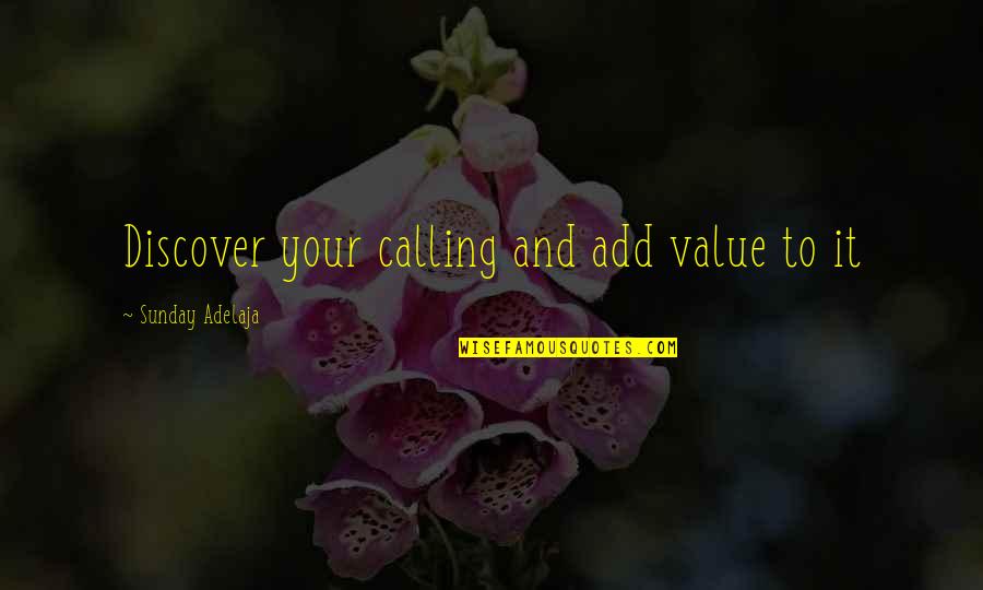 Remensnyder Pet Quotes By Sunday Adelaja: Discover your calling and add value to it