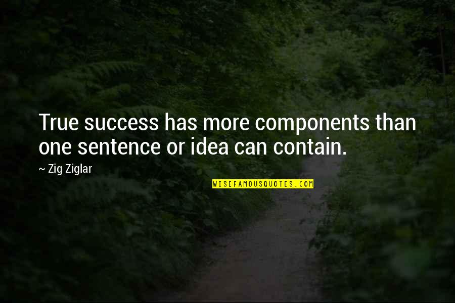 Remind Me Of The Past Quotes By Zig Ziglar: True success has more components than one sentence
