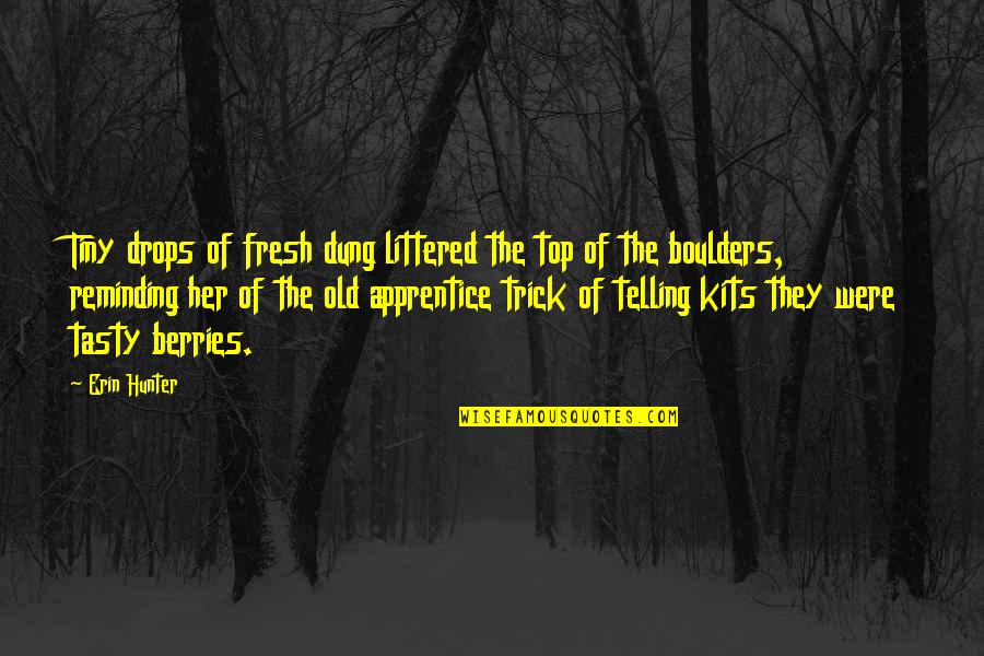 Reminding Quotes By Erin Hunter: Tiny drops of fresh dung littered the top Reminding Quotes By Erin Hunter: Tiny drops of fresh dung littered the top