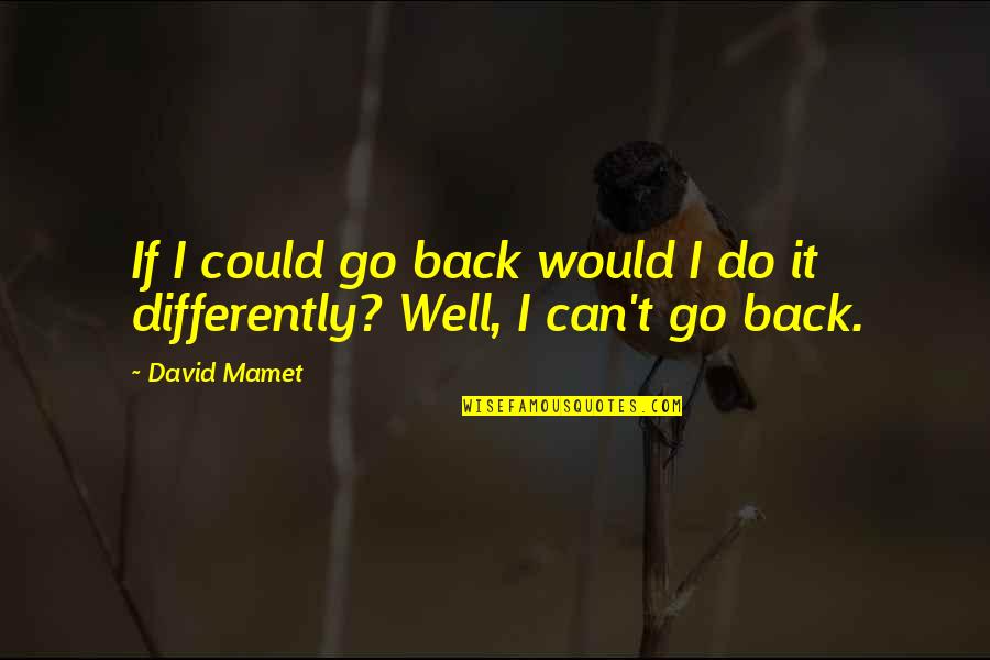 Reminiscence Of You Quotes By David Mamet: If I could go back would I do