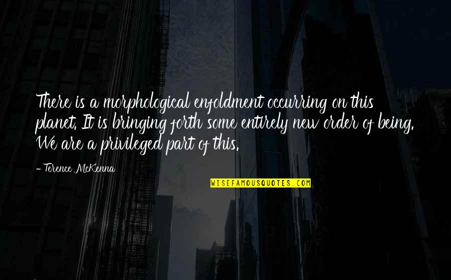 Reminiscenses Quotes By Terence McKenna: There is a morphological enfoldment occurring on this Reminiscenses Quotes By Terence McKenna: There is a morphological enfoldment occurring on this