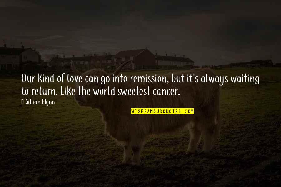 Remission From Cancer Quotes By Gillian Flynn: Our kind of love can go into remission,
