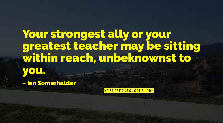 Remitting Factors Quotes By Ian Somerhalder: Your strongest ally or your greatest teacher may