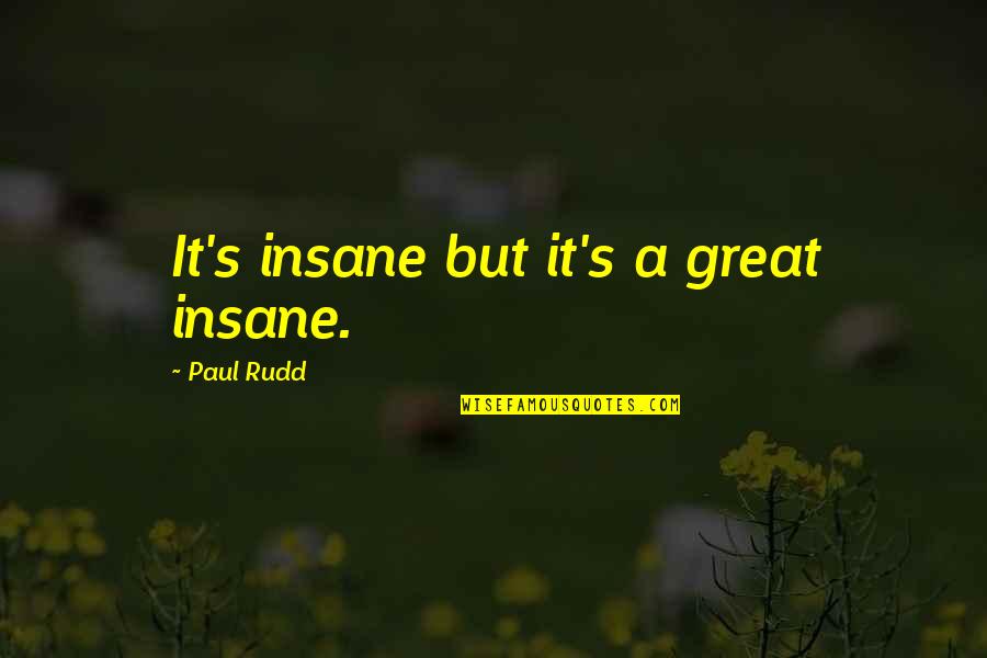 Remmed Quotes By Paul Rudd: It's insane but it's a great insane. Remmed Quotes By Paul Rudd: It's insane but it's a great insane.