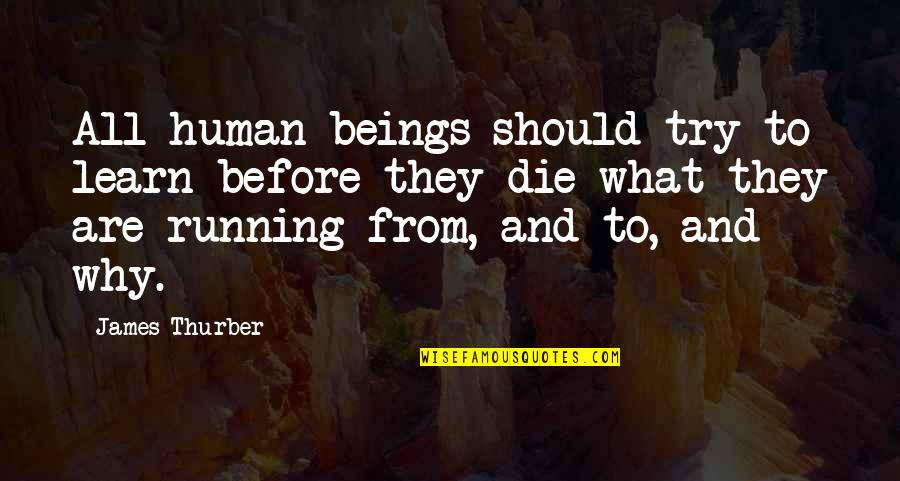 Remmener Quotes By James Thurber: All human beings should try to learn before Remmener Quotes By James Thurber: All human beings should try to learn before