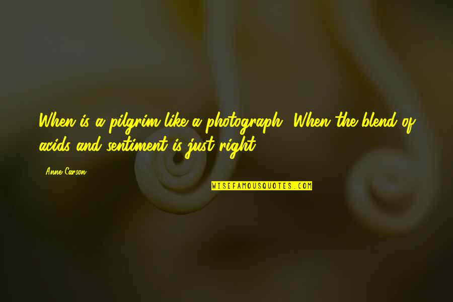 Remnants Crossword Quotes By Anne Carson: When is a pilgrim like a photograph? When Remnants Crossword Quotes By Anne Carson: When is a pilgrim like a photograph? When