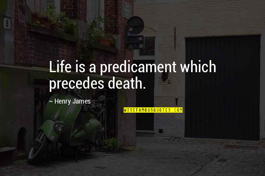 Remnick David Quotes By Henry James: Life is a predicament which precedes death.