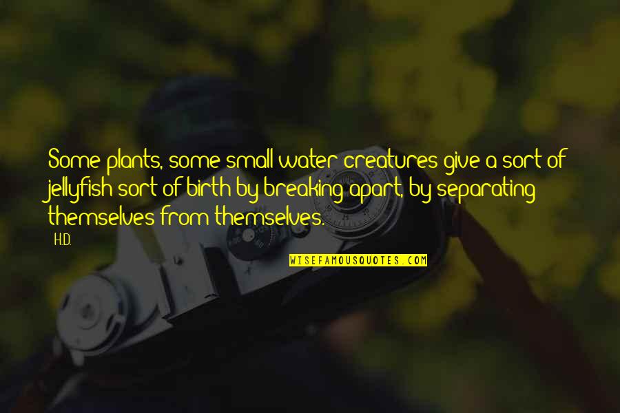 Remould Quotes By H.D.: Some plants, some small water creatures give a