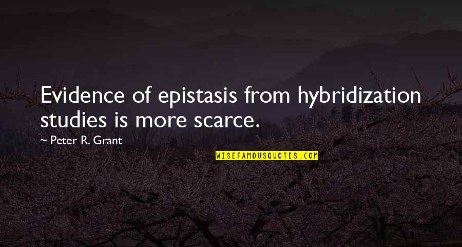 Remplir Passe Quotes By Peter R. Grant: Evidence of epistasis from hybridization studies is more