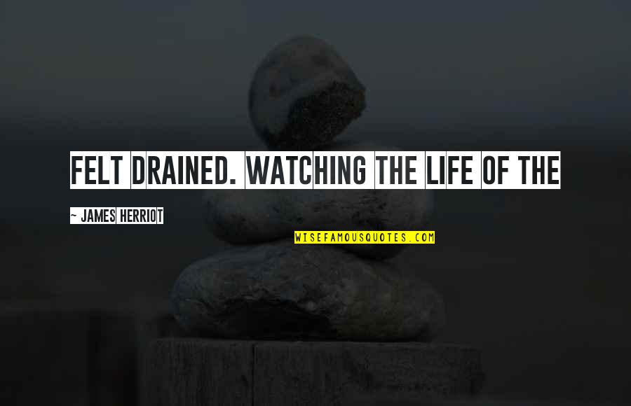 Remziye Hisar Quotes By James Herriot: Felt drained. Watching the life of the Remziye Hisar Quotes By James Herriot: Felt drained. Watching the life of the
