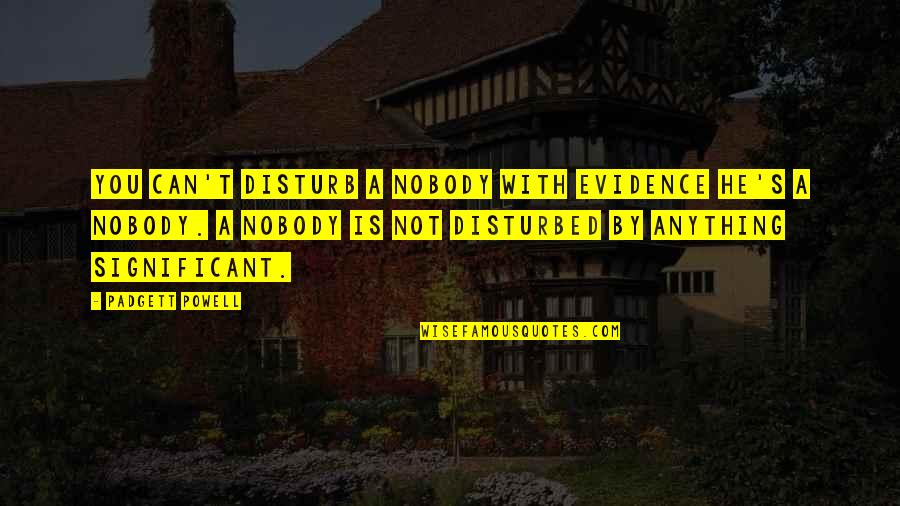 Ren Gude Quotes By Padgett Powell: You can't disturb a nobody with evidence he's Ren Gude Quotes By Padgett Powell: You can't disturb a nobody with evidence he's