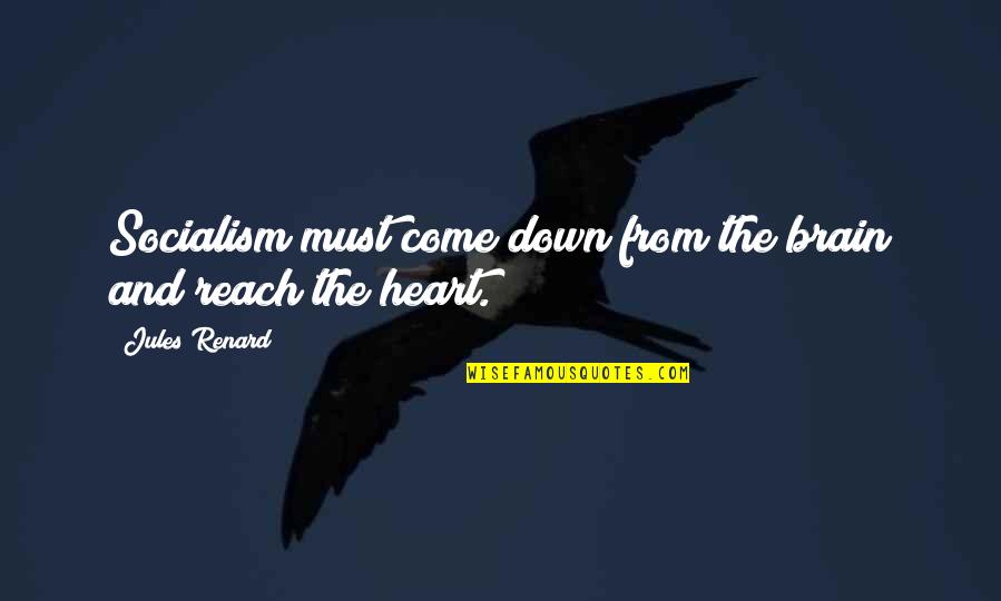 Renard's Quotes By Jules Renard: Socialism must come down from the brain and