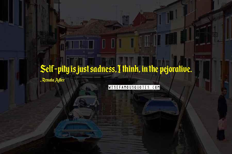 Renata Adler quotes: Self-pity is just sadness, I think, in the pejorative.