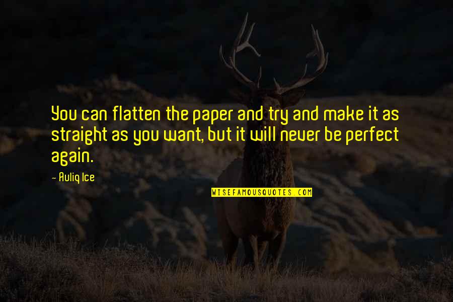 Renaudot 2020 Quotes By Auliq Ice: You can flatten the paper and try and