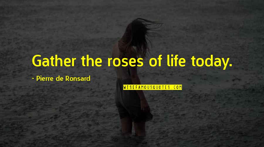Rencoroso In English Quotes By Pierre De Ronsard: Gather the roses of life today.