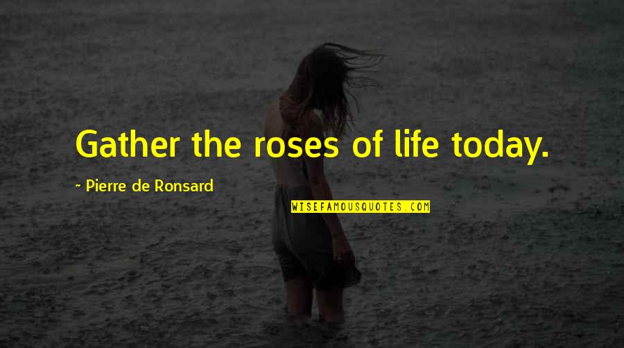 Rencoroso In English Quotes By Pierre De Ronsard: Gather the roses of life today. Rencoroso In English Quotes By Pierre De Ronsard: Gather the roses of life today.