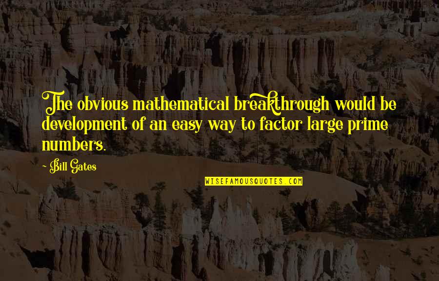 Rency Bill Quotes By Bill Gates: The obvious mathematical breakthrough would be development of