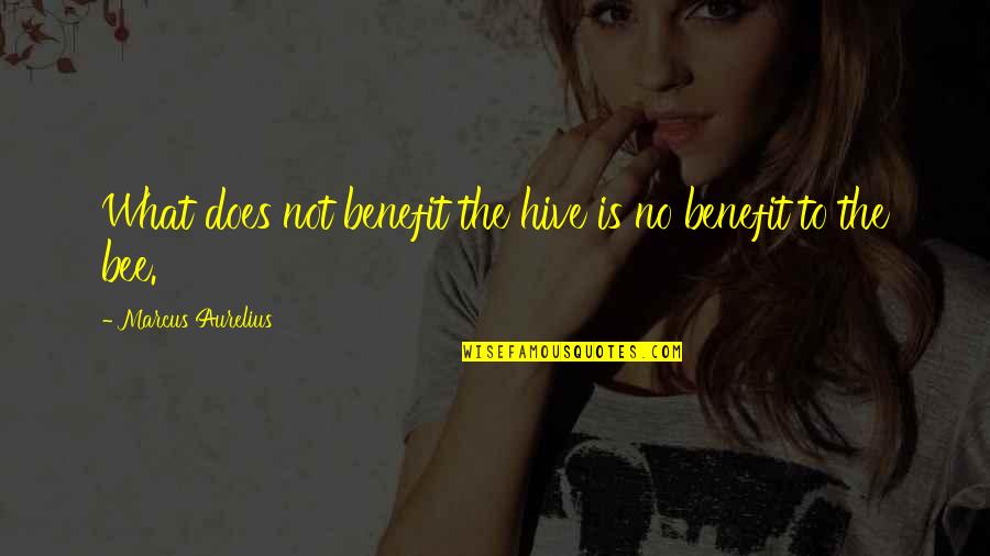 Rendes Felmond S Quotes By Marcus Aurelius: What does not benefit the hive is no Rendes Felmond S Quotes By Marcus Aurelius: What does not benefit the hive is no