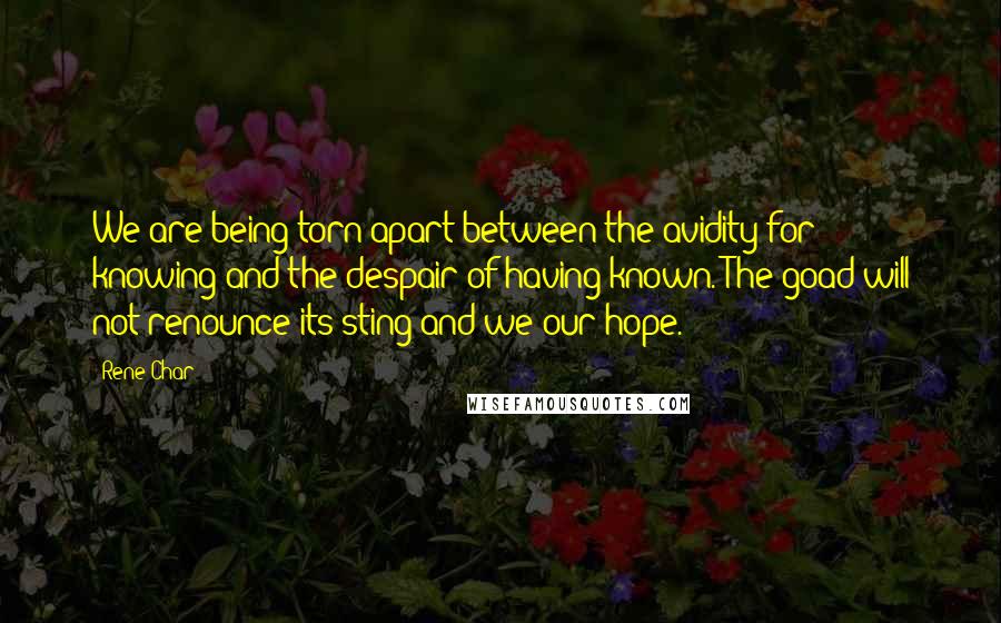 Rene Char quotes: We are being torn apart between the avidity for knowing and the despair of having known. The goad will not renounce its sting and we our hope.