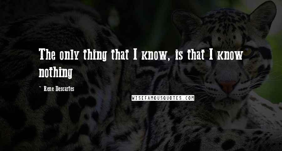 Rene Descartes quotes: The only thing that I know, is that I know nothing