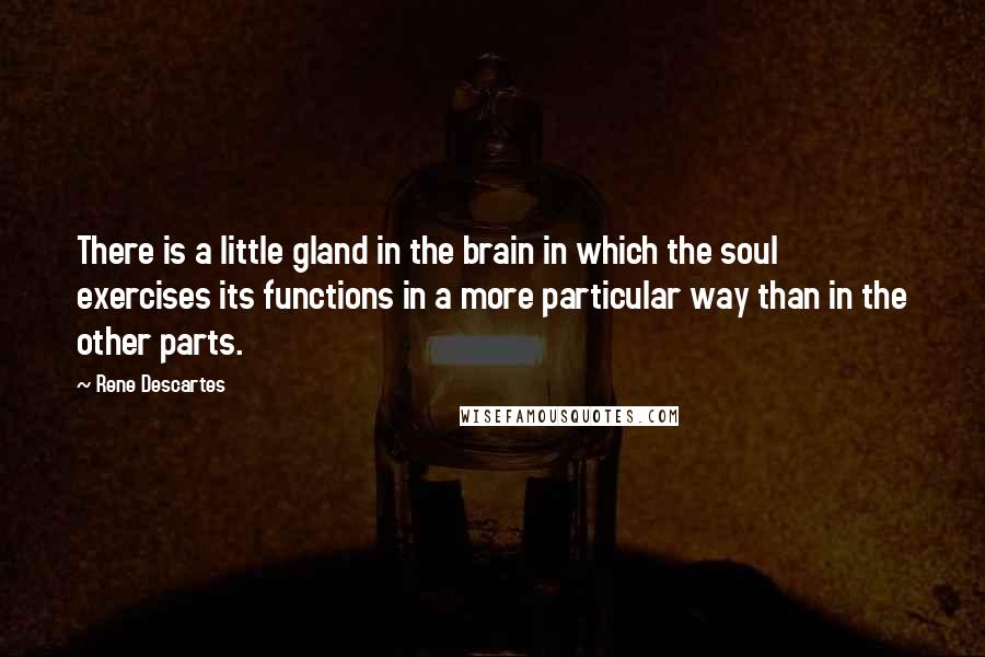 Rene Descartes quotes: There is a little gland in the brain in which the soul exercises its functions in a more particular way than in the other parts.