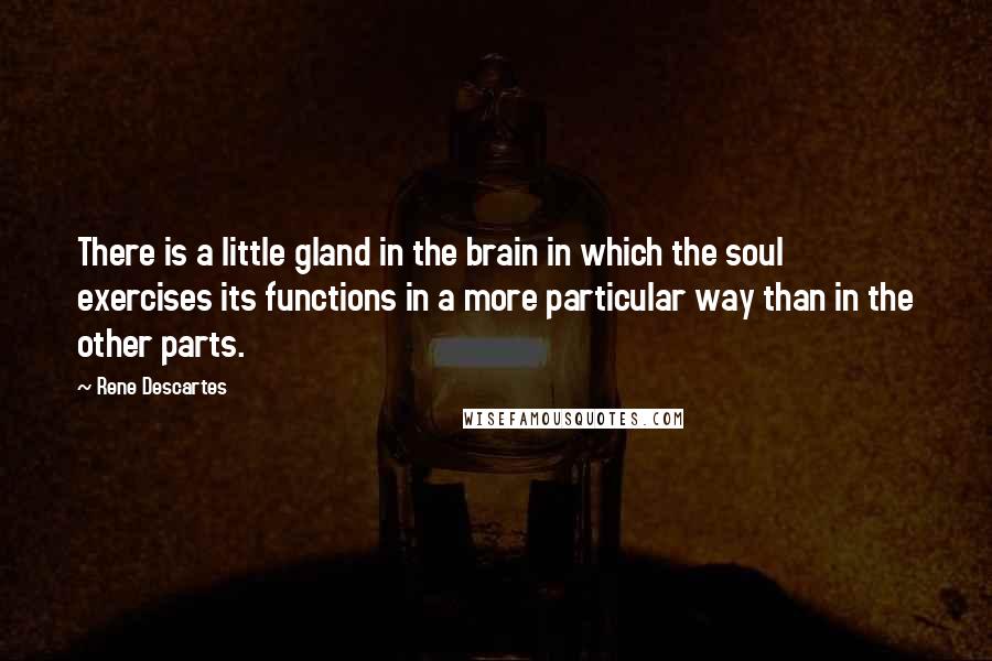 Rene Descartes quotes: There is a little gland in the brain in which the soul exercises its functions in a more particular way than in the other parts. Rene Descartes quotes: There is a little gland in the brain in which the soul exercises its functions in a more particular way than in the other parts.