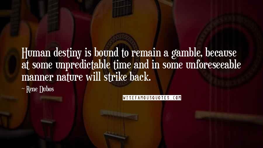 Rene Dubos quotes: Human destiny is bound to remain a gamble, because at some unpredictable time and in some unforeseeable manner nature will strike back.
