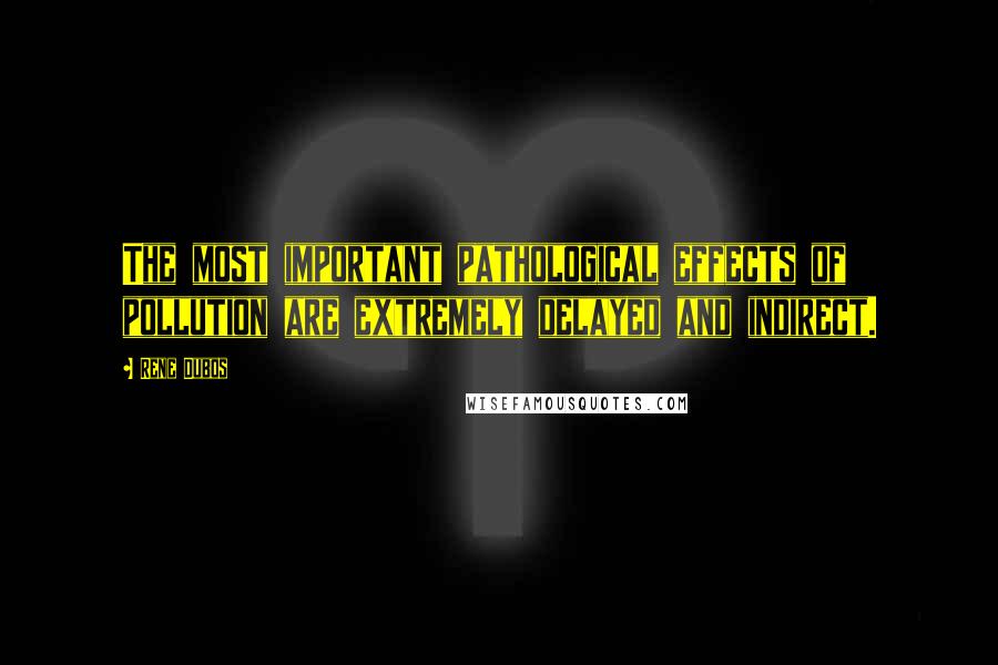 Rene Dubos quotes: The most important pathological effects of pollution are extremely delayed and indirect.