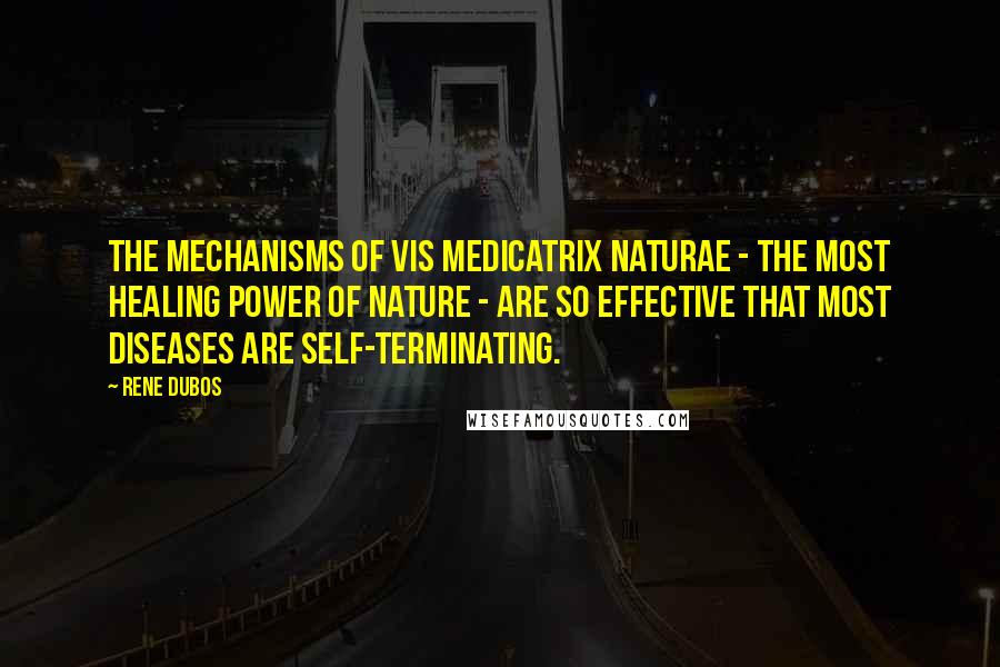 Rene Dubos quotes: The mechanisms of vis medicatrix naturae - the most healing power of nature - are so effective that most diseases are self-terminating.