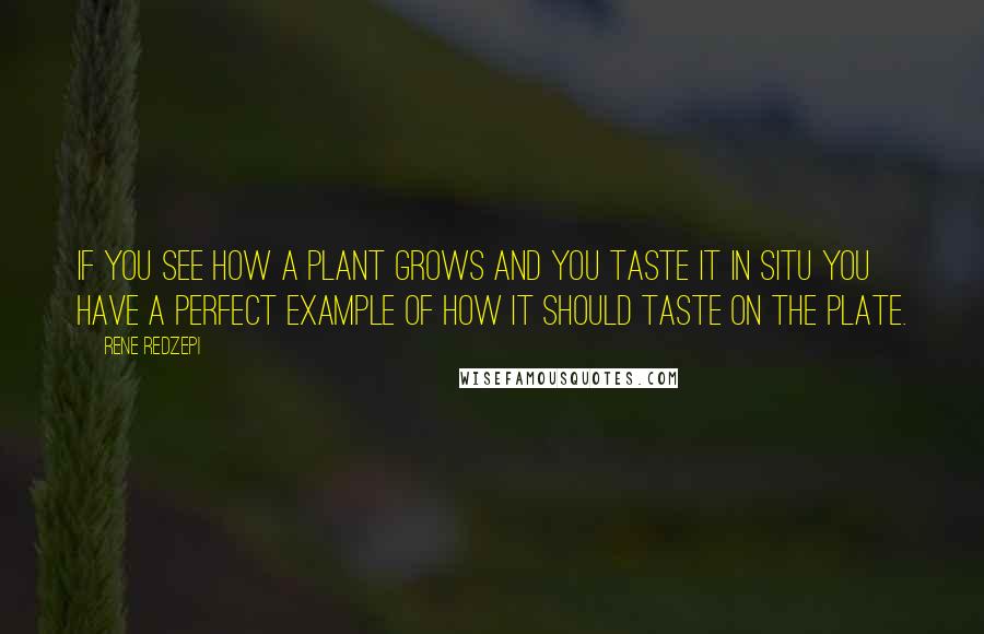 Rene Redzepi quotes: If you see how a plant grows and you taste it in situ you have a perfect example of how it should taste on the plate.