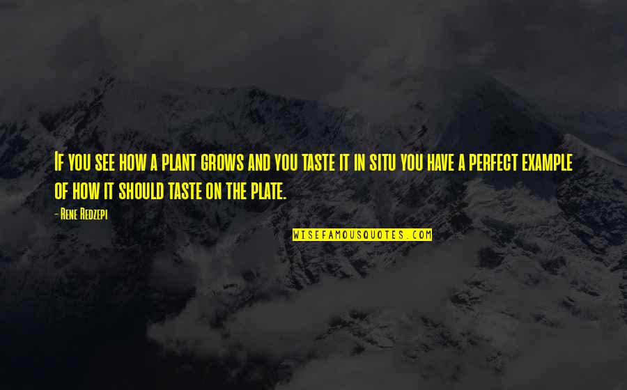 Rene Redzepi Quotes By Rene Redzepi: If you see how a plant grows and Rene Redzepi Quotes By Rene Redzepi: If you see how a plant grows and