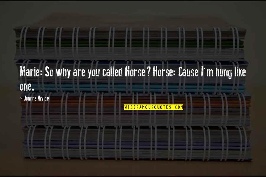 Reneging Quotes By Joanna Wylde: Marie: So why are you called Horse?Horse: Cause