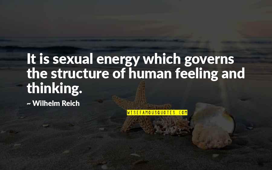 Reneta Osobase Quotes By Wilhelm Reich: It is sexual energy which governs the structure