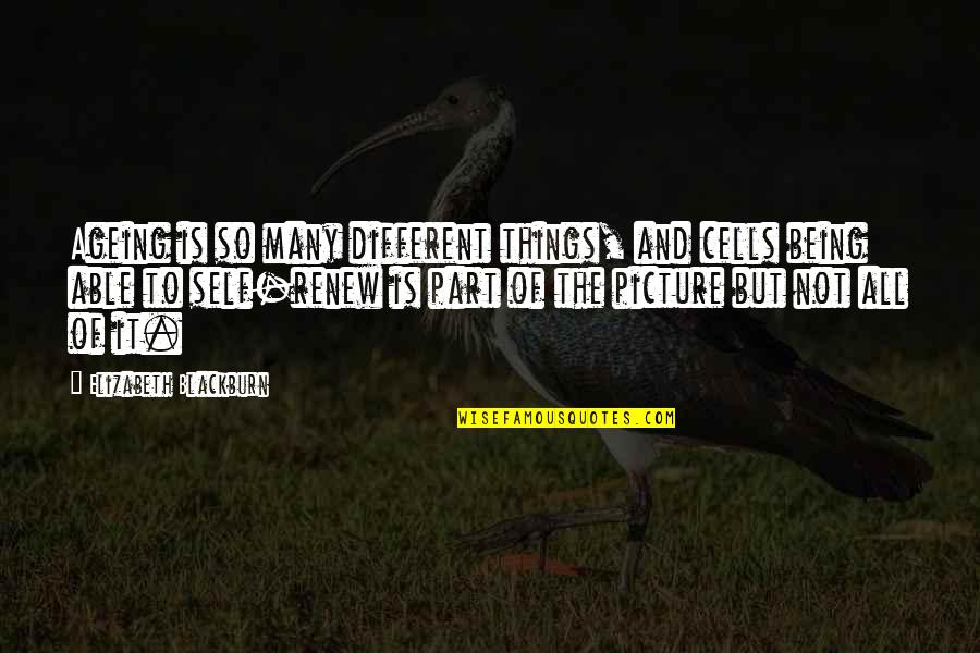 Renew'd Quotes By Elizabeth Blackburn: Ageing is so many different things, and cells Renew'd Quotes By Elizabeth Blackburn: Ageing is so many different things, and cells