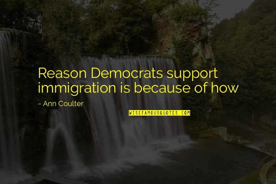 Rent Control Quotes By Ann Coulter: Reason Democrats support immigration is because of how
