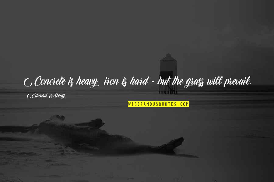 Renters Insurance Multiple Quotes By Edward Abbey: Concrete is heavy; iron is hard - but