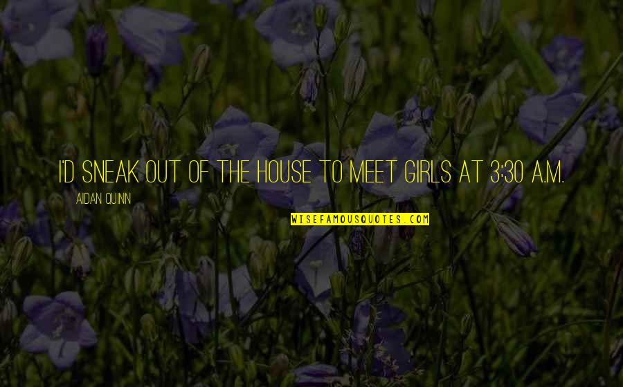 Rentrez Bien Quotes By Aidan Quinn: I'd sneak out of the house to meet Rentrez Bien Quotes By Aidan Quinn: I'd sneak out of the house to meet