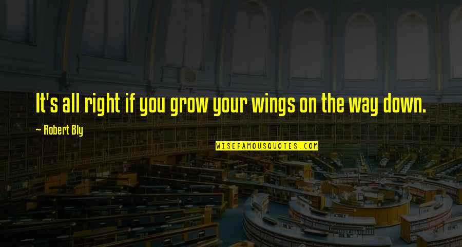 Renunciations Of Dower Quotes By Robert Bly: It's all right if you grow your wings