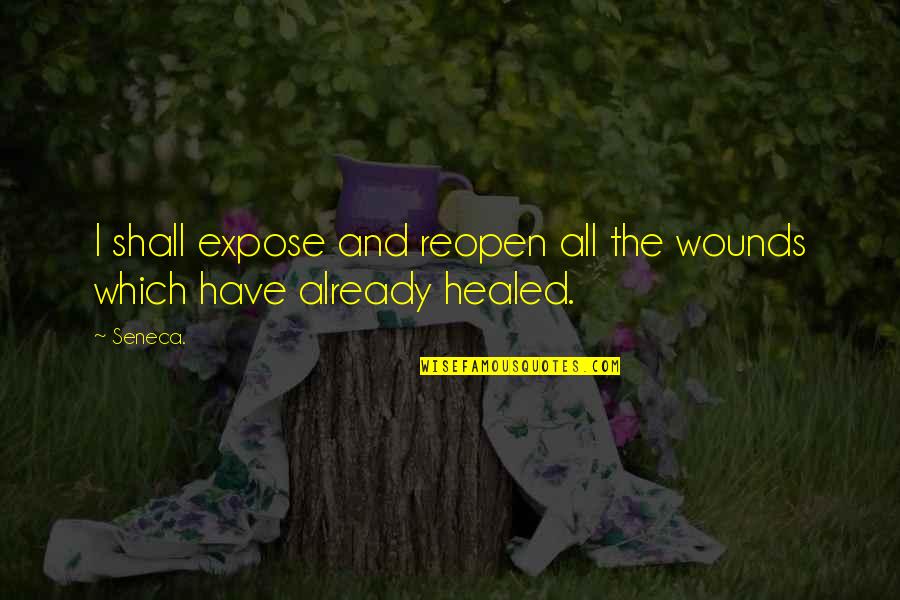 Reopen Wounds Quotes By Seneca.: I shall expose and reopen all the wounds