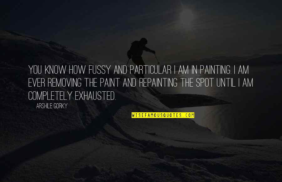 Repainting Quotes By Arshile Gorky: You know how fussy and particular I am