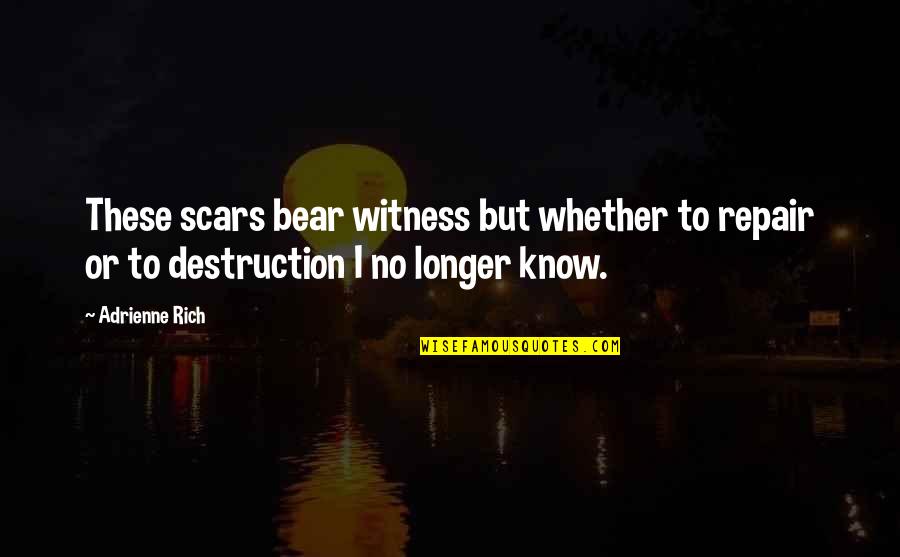 Repair Broken Friendship Quotes By Adrienne Rich: These scars bear witness but whether to repair