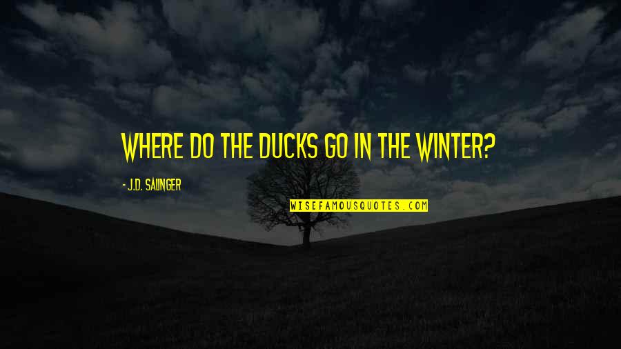 Repairing Relationship Quotes By J.D. Salinger: Where do the ducks go in the winter?