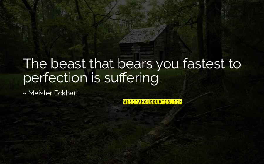 Repeat Behavior Quotes By Meister Eckhart: The beast that bears you fastest to perfection