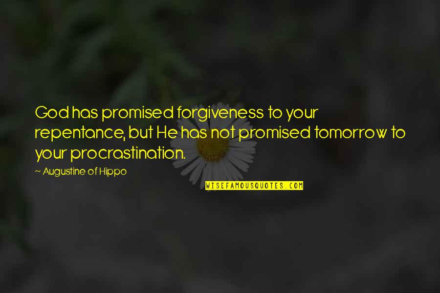 Repentance To God Quotes By Augustine Of Hippo: God has promised forgiveness to your repentance, but