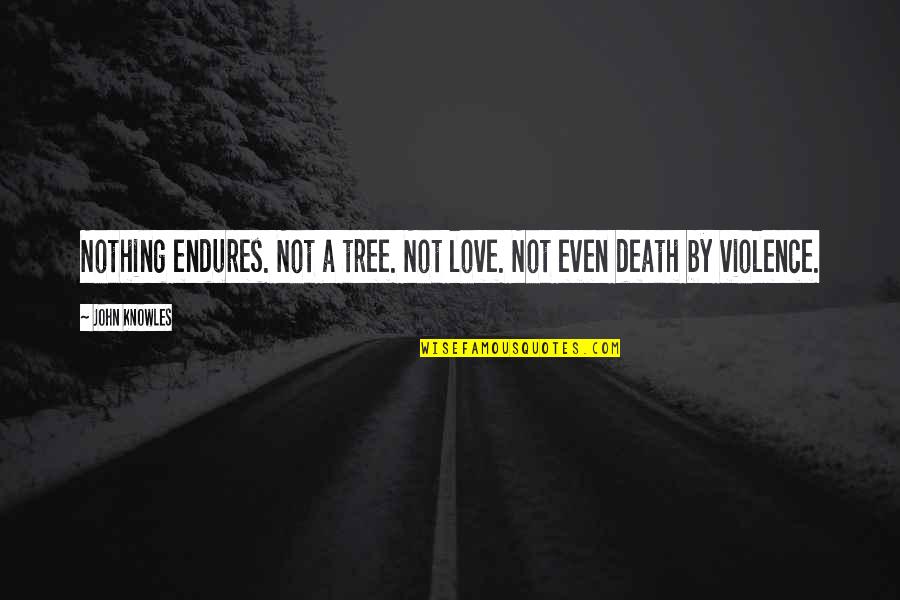 Repented Quotes By John Knowles: Nothing endures. Not a tree. Not love. Not