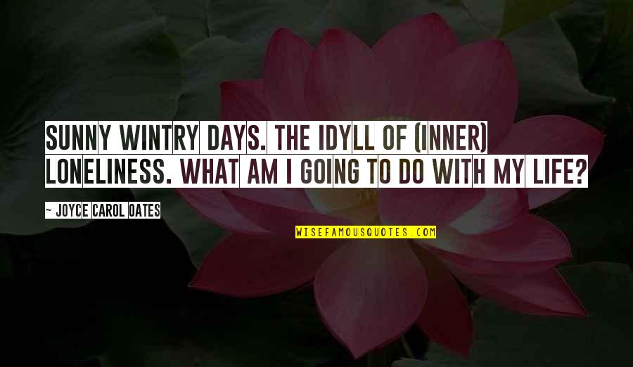 Repentino Sinonimo Quotes By Joyce Carol Oates: Sunny wintry days. The idyll of (inner) loneliness.