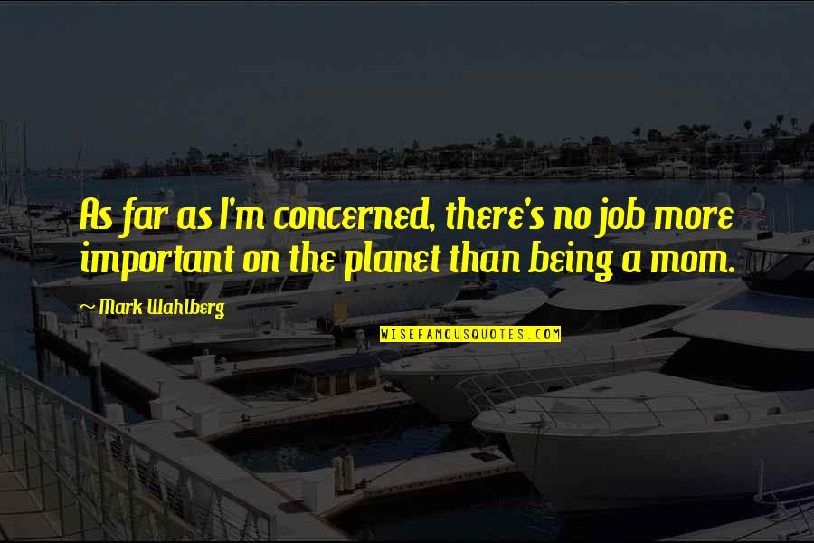 Repertorial Quotes By Mark Wahlberg: As far as I'm concerned, there's no job Repertorial Quotes By Mark Wahlberg: As far as I'm concerned, there's no job