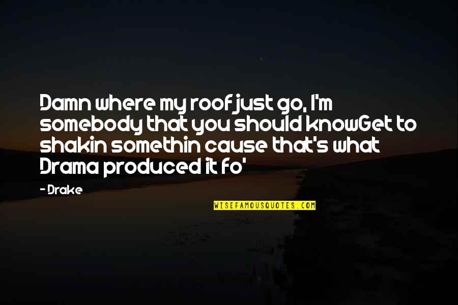 Repicturing Quotes By Drake: Damn where my roof just go, I'm somebody Repicturing Quotes By Drake: Damn where my roof just go, I'm somebody